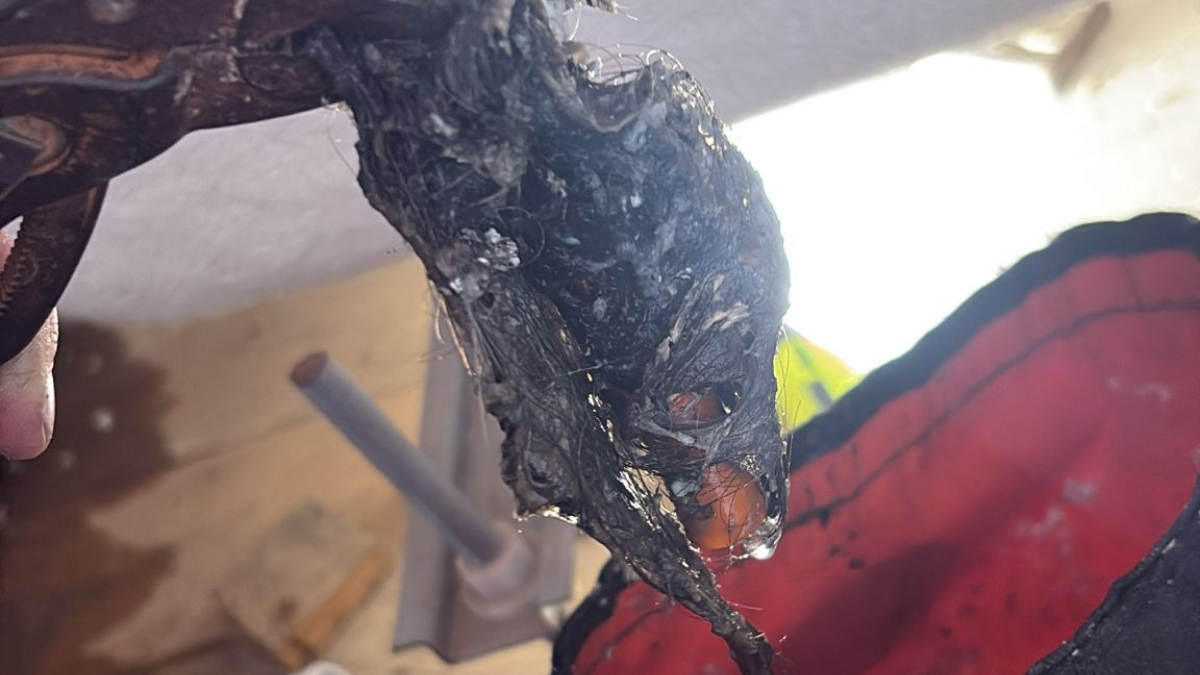 Residue from blocked drain