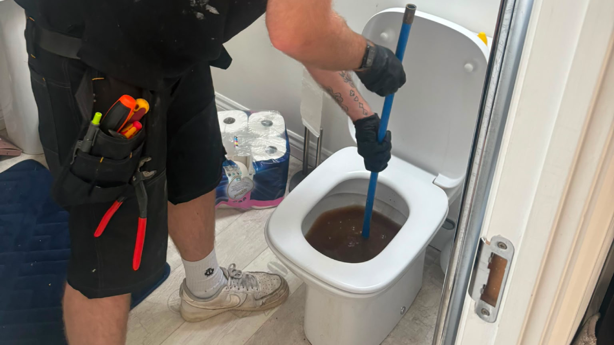 unclog toilet